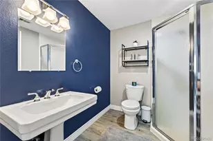 9924 Silver Maple Way, Highlands Ranch, CO 80129 - Photo 36