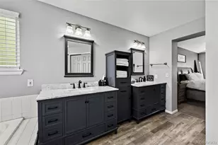 9924 Silver Maple Way, Highlands Ranch, CO 80129 - Photo 20