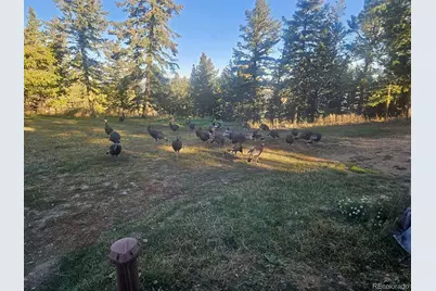31793 Highway 72, Golden, CO 80403 - Photo 28