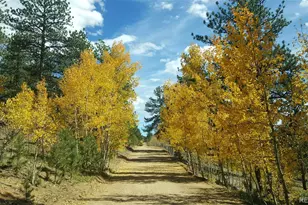 132 Jones Rd, Bailey, CO 80421 - Photo 32