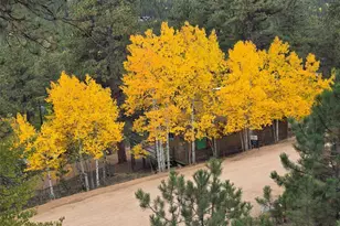132 Jones Rd, Bailey, CO 80421 - Photo 24