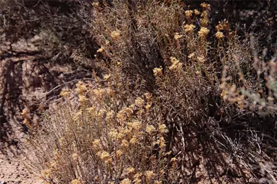 Lot 16 Gold Hawk, San Luis, CO 81152 - Photo 12