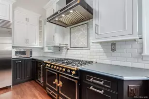 1538 N Gilpin St, Denver, CO 80218 - Photo 20