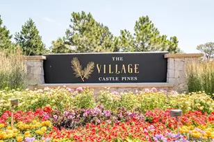 364 Morning Star Way, Castle Rock, CO 80108 - Photo 12
