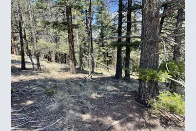 971 Spring Valley Lane, Florissant, CO 80816 - Photo 4