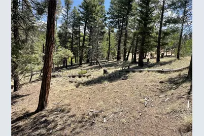 971 Spring Valley Lane, Florissant, CO 80816 - Photo 10