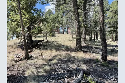 971 Spring Valley Lane, Florissant, CO 80816 - Photo 2