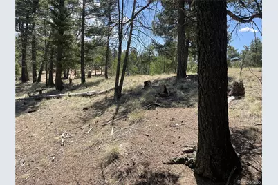971 Spring Valley Lane, Florissant, CO 80816 - Photo 8