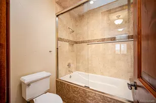 9677 Sara Gulch Cir, Parker, CO 80138 - Photo 44