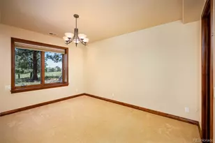 9677 Sara Gulch Cir, Parker, CO 80138 - Photo 46