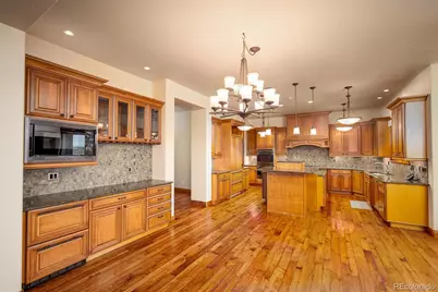 9677 Sara Gulch Circle, Parker, CO 80138 - Photo 20