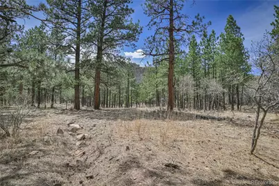 Stonewall Meadows Road, Weston, CO 81091 - Photo 20