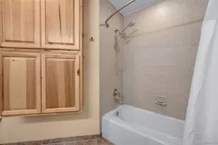 15632 Ray Dr, Larkspur, CO 80118 - Photo 32