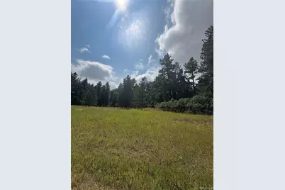 5028 Crow Drive, Larkspur, CO 80118 - Photo 6