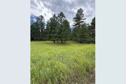 5028 Crow Drive, Larkspur, CO 80118 - Photo 1