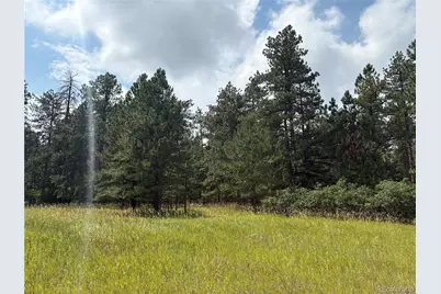 5028 Crow Drive, Larkspur, CO 80118 - Photo 8