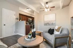590 N Logan Street, Denver, CO 80203 - Photo 10