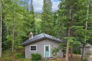 14 Moss, Dumont, CO 80436 - Photo 4