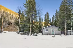 14 Moss, Dumont, CO 80436 - Photo 6