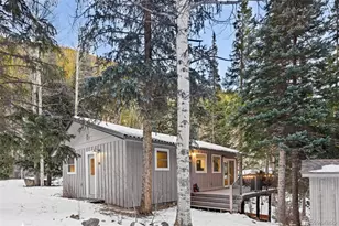 14 Moss, Dumont, CO 80436 - Photo 26