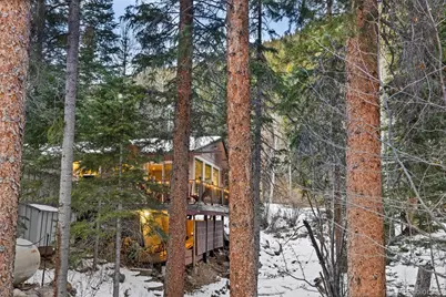 14 Moss, Dumont, CO 80436 - Photo 30