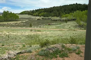 3153 Homestake Pl, Florissant, CO 80816 - Photo 34