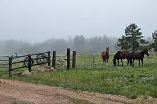 3153 Homestake Pl, Florissant, CO 80816 - Photo 30