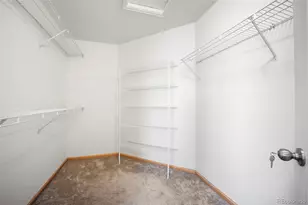 3921 Black Feather Trail, Castle Rock, CO 80104 - Photo 40