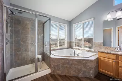 3921 Black Feather Trail, Castle Rock, CO 80104 - Photo 38