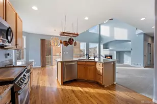 3921 Black Feather Trail, Castle Rock, CO 80104 - Photo 18