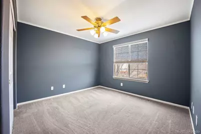 3921 Black Feather Trail, Castle Rock, CO 80104 - Photo 30