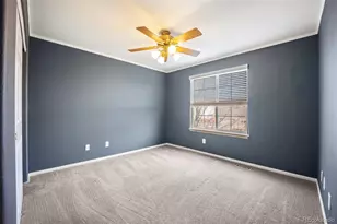 3921 Black Feather Trail, Castle Rock, CO 80104 - Photo 30