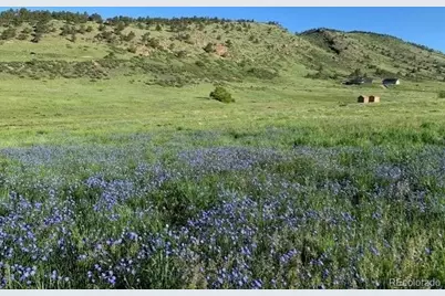 223 Stone Canyon Road, Lyons, CO 80540 - Photo 20
