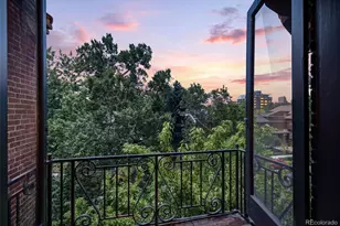 820 N Humboldt St, Denver, CO 80218 - Photo 12