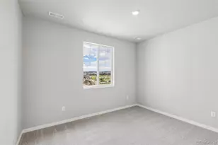 13381 Finnhorse St, Parker, CO 80134 - Photo 22