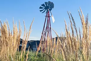 18794 E 99th Ave, Commerce City, CO 80022 - Photo 40