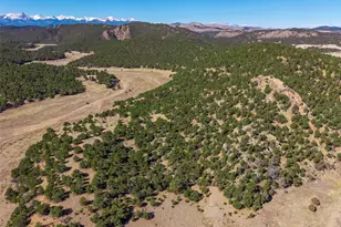 710 McClure Gulch Rd, Cotopaxi, CO 81223 - Photo 1