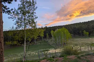 26115 Amy Cir, Conifer, CO 80433 - Photo 24