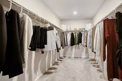 5881 Red Barn Avenue, Mead, CO 80504 - Photo 20