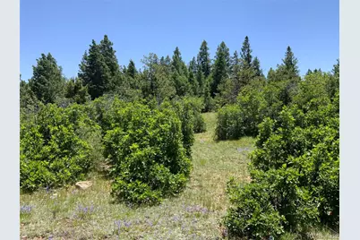 000 Peak View Ridge, Canon City, CO 81212 - Photo 6