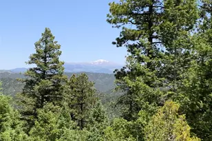 000 Peak View Ridge, Canon City, CO 81212 - Photo 1