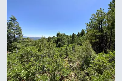 000 Peak View Ridge, Canon City, CO 81212 - Photo 14