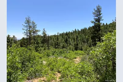 000 Peak View Ridge, Canon City, CO 81212 - Photo 34