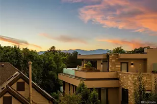 203 Garfield St, Denver, CO 80206 - Photo 44