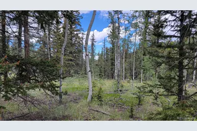 943 Bear Lane, Jefferson, CO 80456 - Photo 12