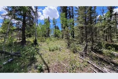 943 Bear Lane, Jefferson, CO 80456 - Photo 10