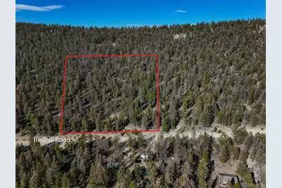 2403 Redhill Road, Fairplay, CO 80440 - Photo 2