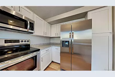 841 Thames Street, Highlands Ranch, CO 80126 - Photo 10