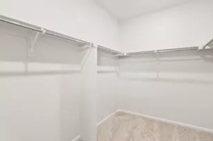 1597 Colorado River Dr, Windsor, CO 80550 - Photo 12