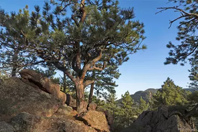 73 Canyon Pines Drive, Arvada, CO 80403 - Photo 10